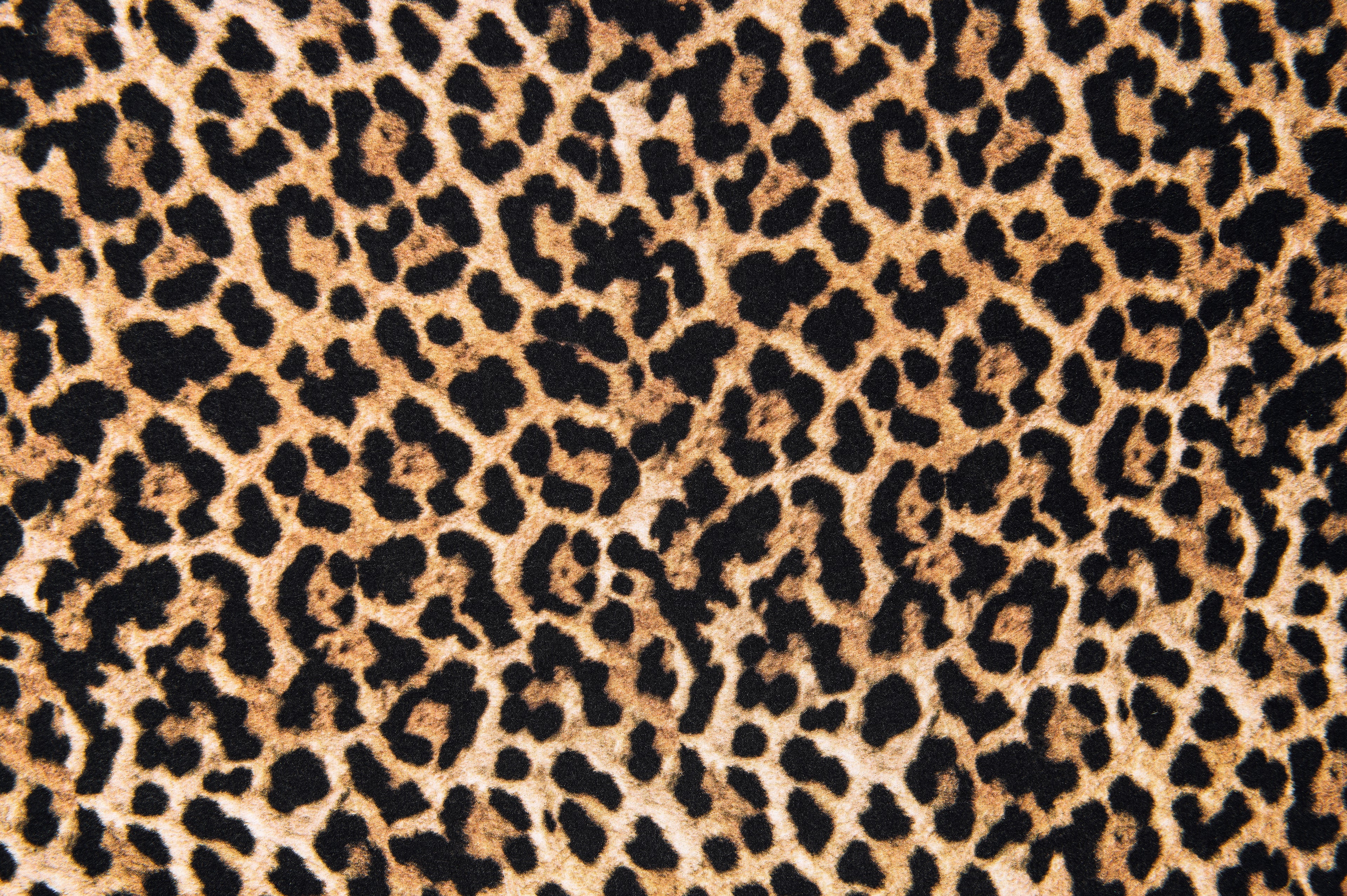 Leopard print design and texture