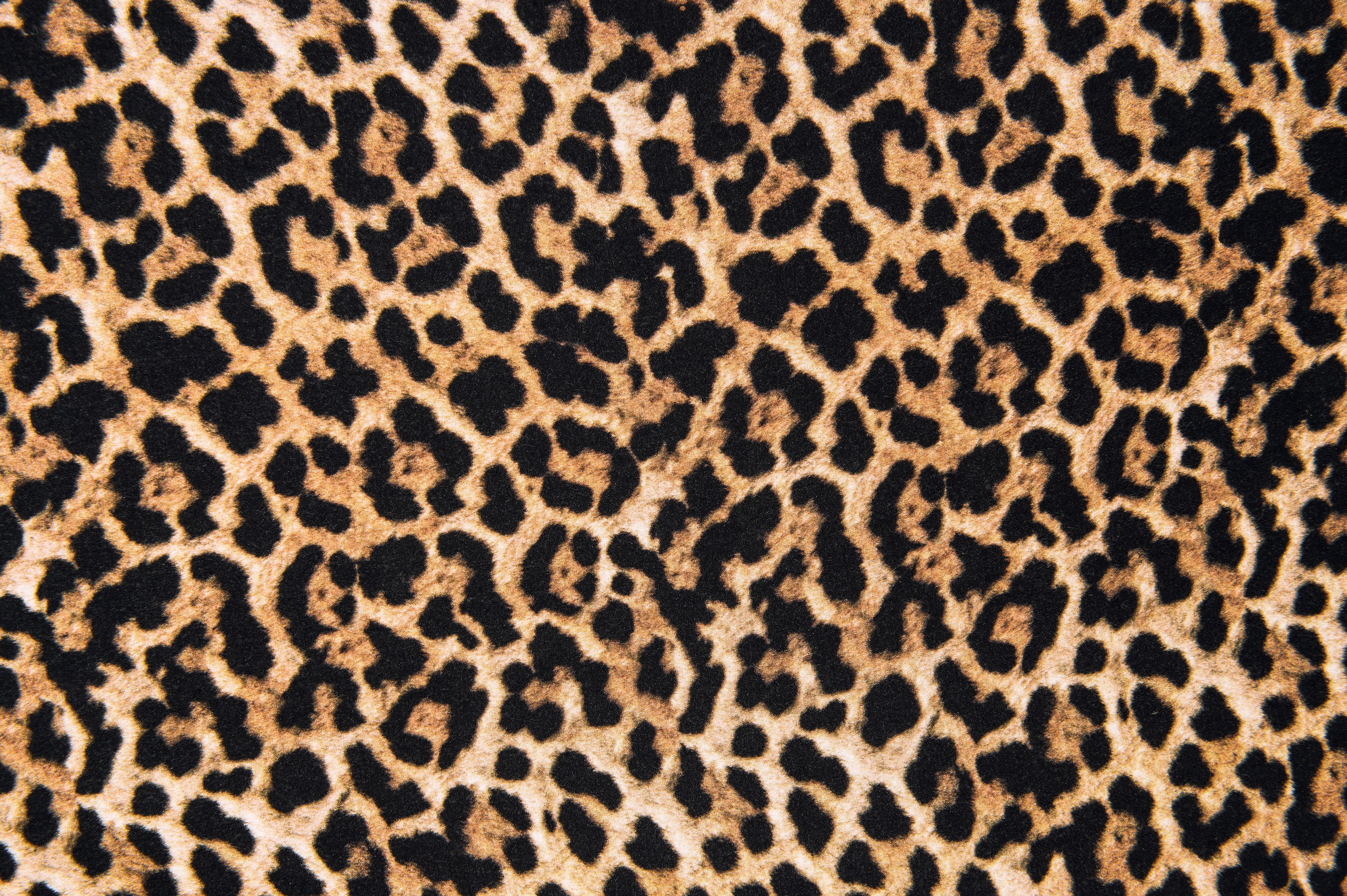 Leopard print design and texture